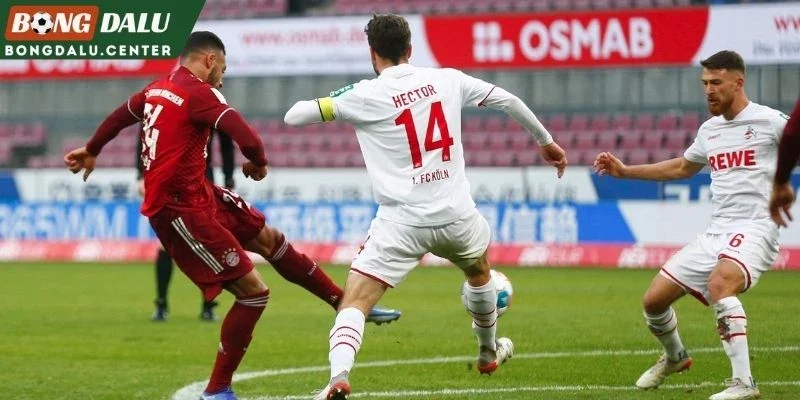  Phân tích các cửa kèo Stuttgart vs Köln